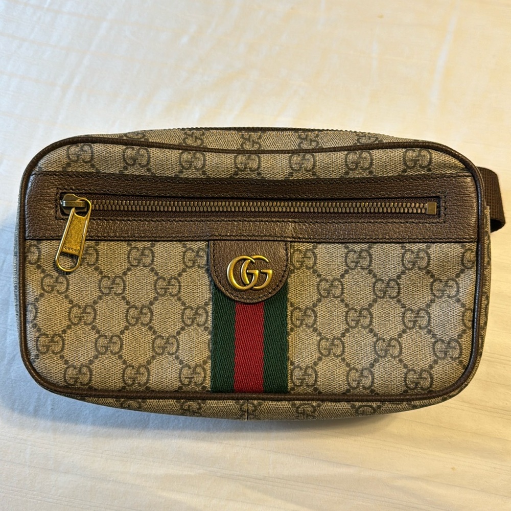 Gucci Ophidia Belt Bag